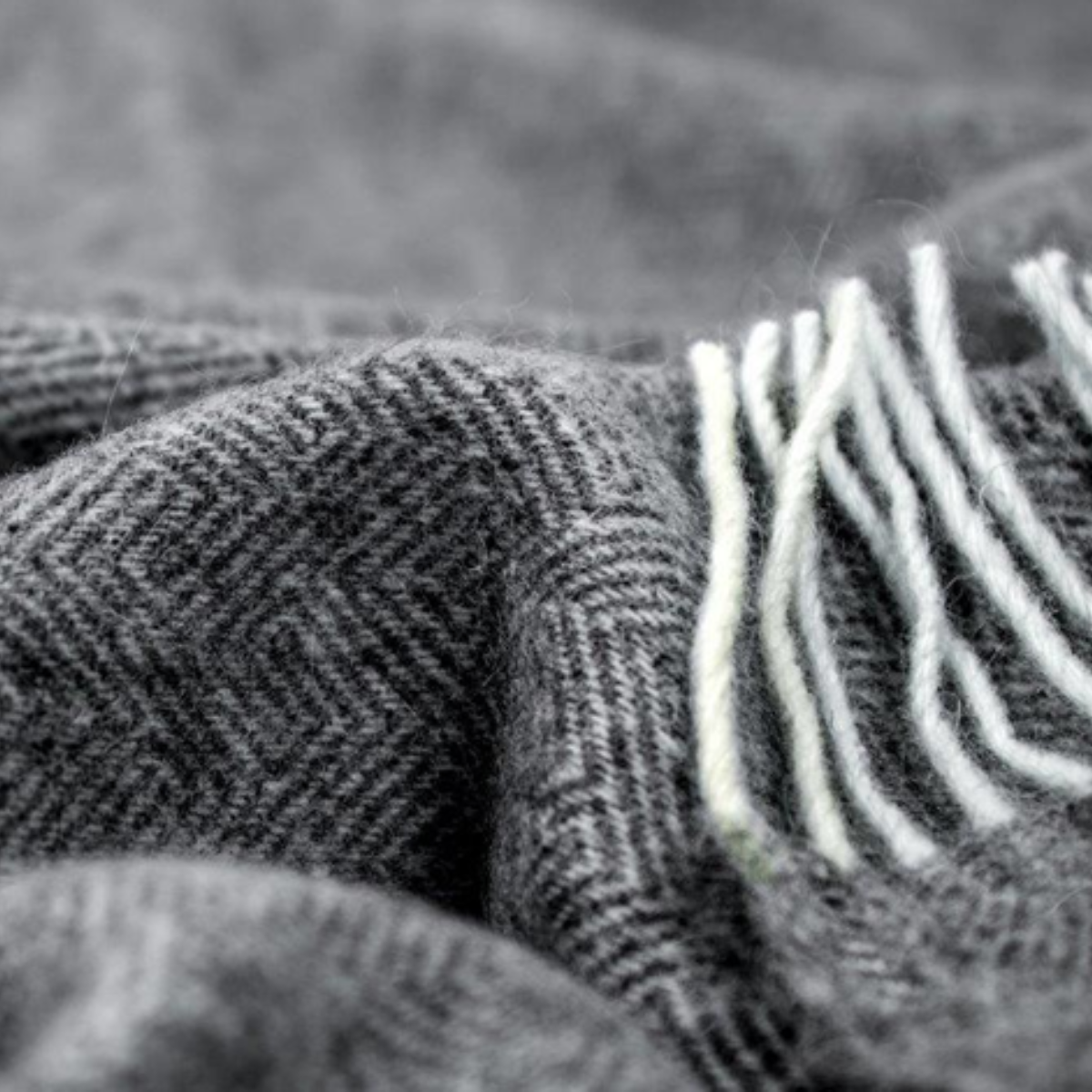 Hyperion Merino Wool Blend Throw - Dark Grey