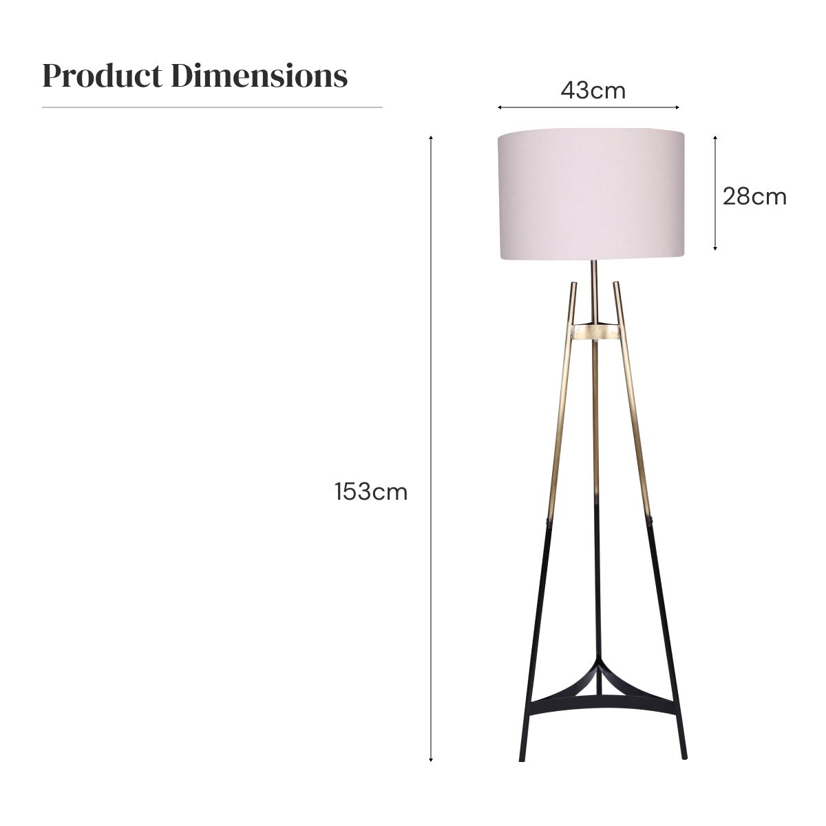 Phoenix Floor Lamp